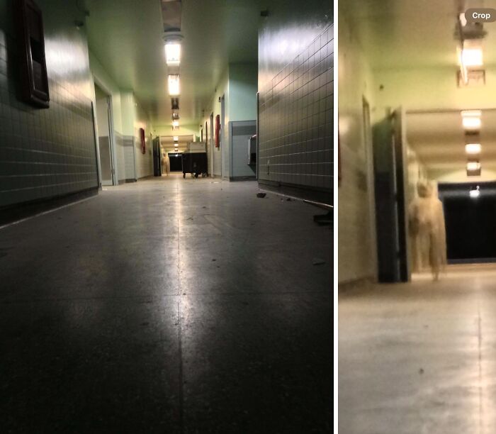 Did I Take A Photo Of A Ghost Back In 2013?
