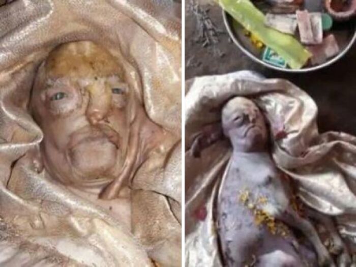 Baby Goat Born With Human-Like Face Worshipped Like God In Gujarat, India
