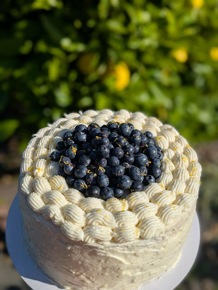 Blueberry topped cake with piped cream frosting in natural light