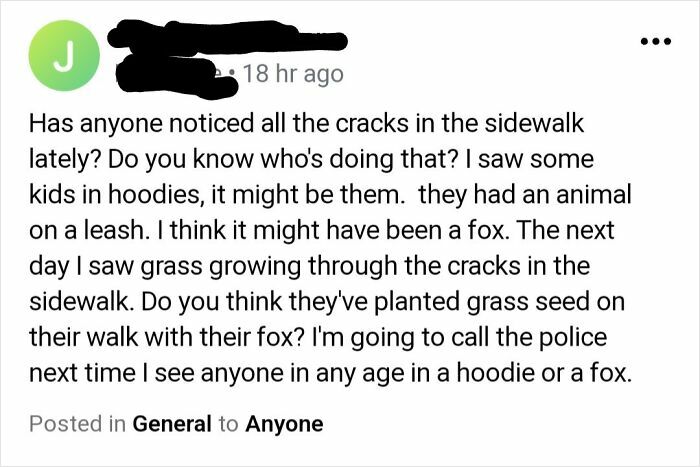 Concern about sidewalk wear from dog walkers and maintenance in Berkley, MI