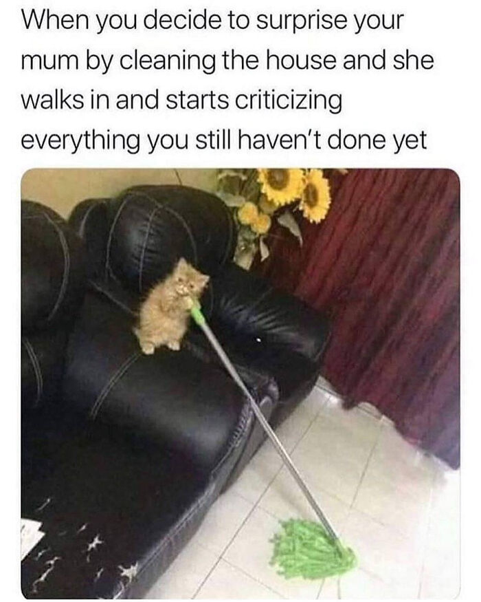 Funny animal meme of kitten pretending to mop on couch