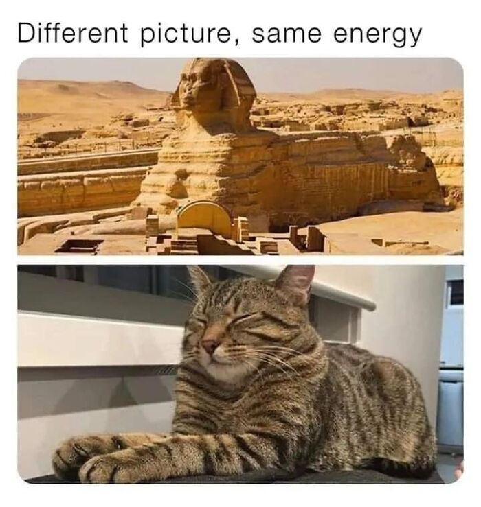 Funny cat meme comparing cat lounging to Sphinx statue