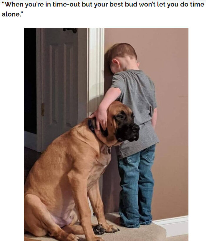 Heartwarming animal meme of a boy in time-out leaning on a dog comforting him