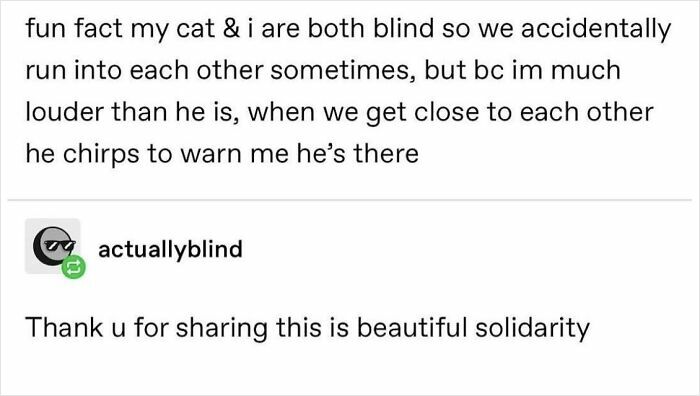 Wholesome-Memes-Memeuplift