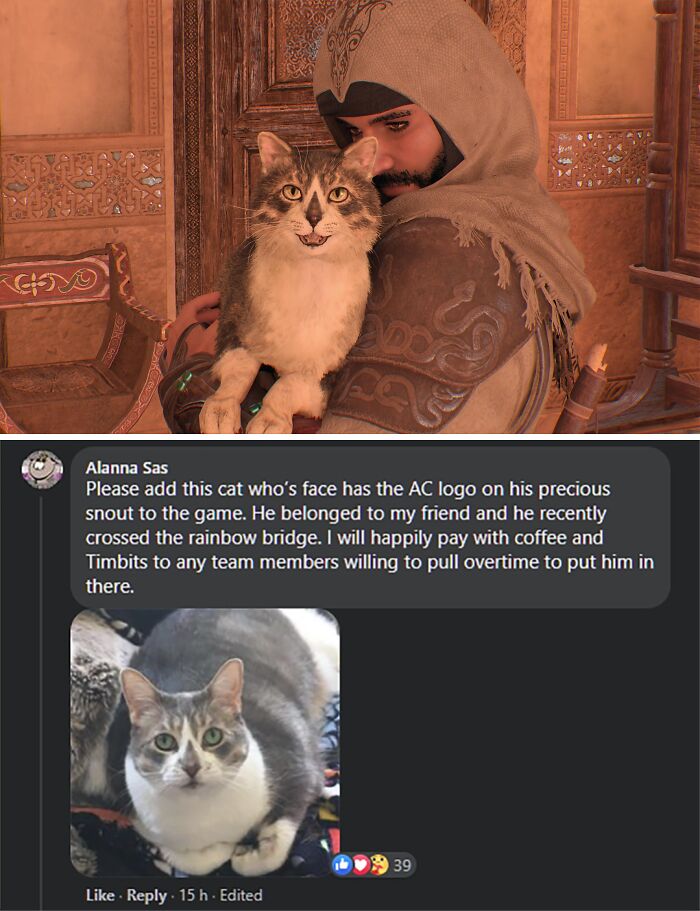 Wholesome-Memes-Memeuplift