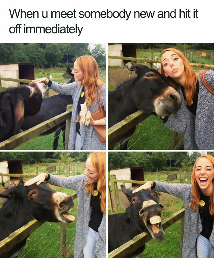 Woman and donkey hitting it off instantly in funny photo collage