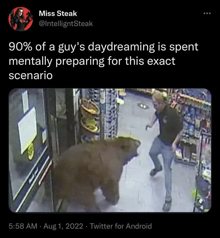 Bear and man face off in store meme funny animal memes
