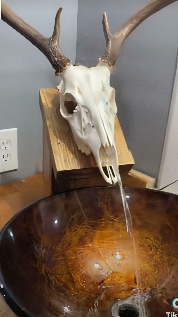 Antler skull water faucet with unusual sink showing cleaning oversight