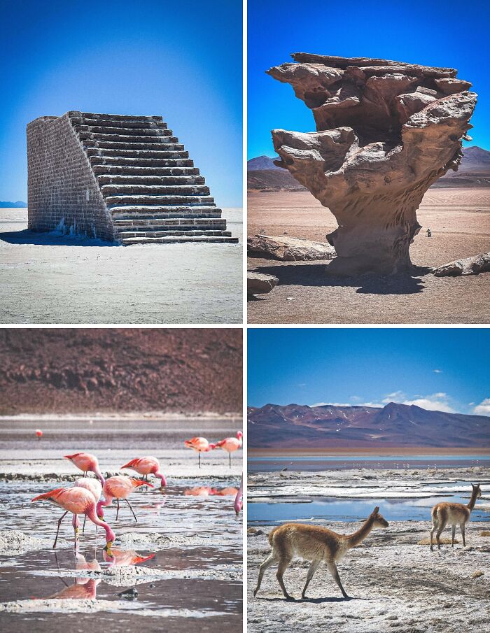 I Just Biked Across The Bolivian Altiplano