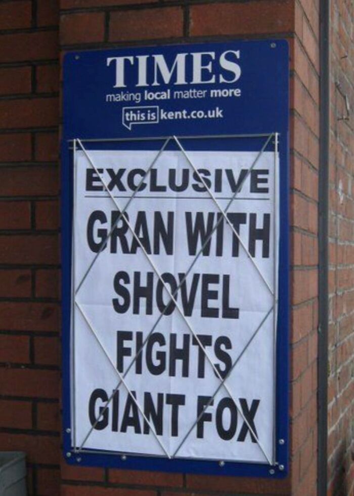 Times headline on exclusive gran with shovel fighting giant fox