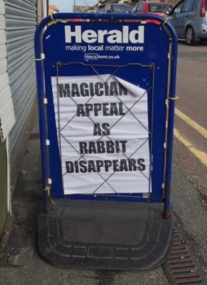Herald funny headline about magician appeal as rabbit disappears