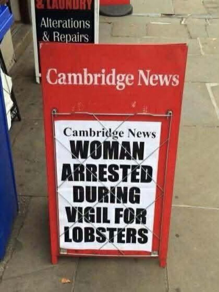 Humorous Cambridge News headline about woman arrested during lobster vigil