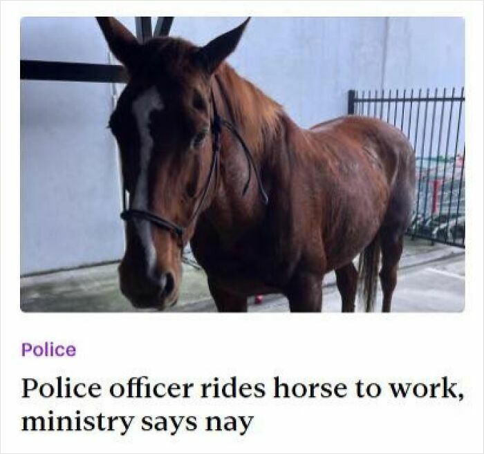 Police officer rides horse to work but ministry rejects the idea
