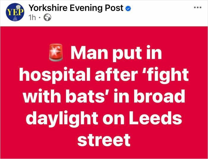 Comic headline about man hospitalized after fight with bats in daylight