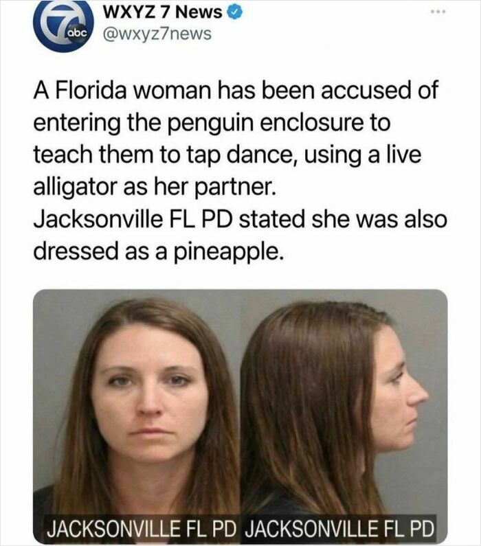 Hilarious news story of Florida woman accused of tap dancing with alligator