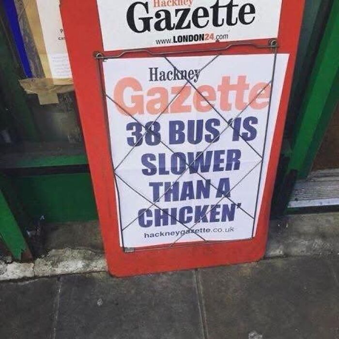 Hilarious headline about 38 bus being slower than a chicken