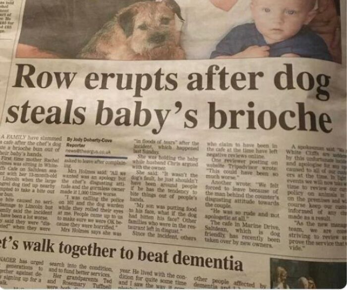 Humorous headline about row after dog steals baby’s brioche