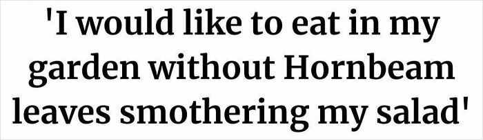 Comical headline about eating in garden without Hornbeam leaves on salad