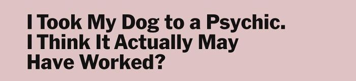 Person believes taking their dog to a psychic may have actually worked