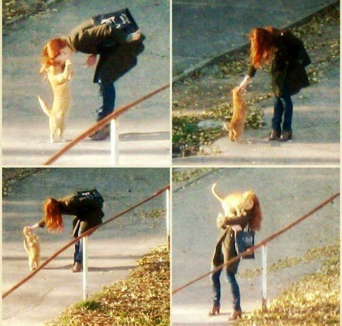 A blessed image of a woman with red hair interacting playfully with a ginger cat, making your day a little better.