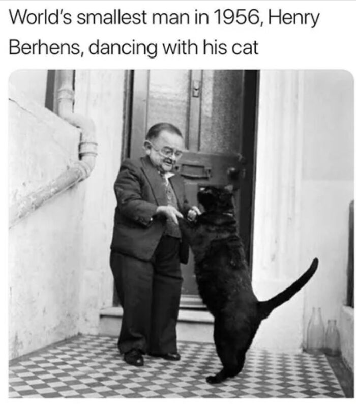 Blessed image of Henry Berhens, the world's smallest man, dancing with his cat, spreading positivity and making your day better.