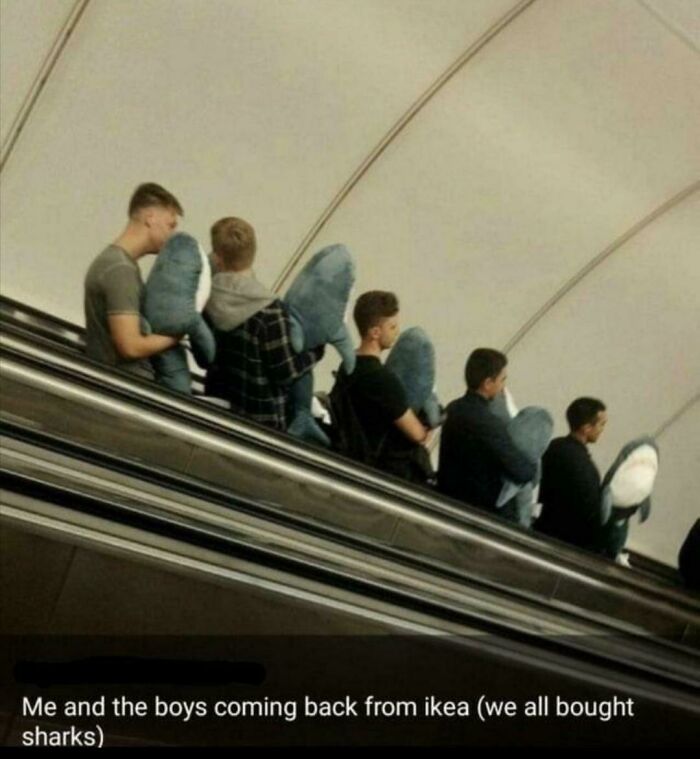 A line of men on an escalator, each holding a blue shark plushie. A blessed image making your day better.