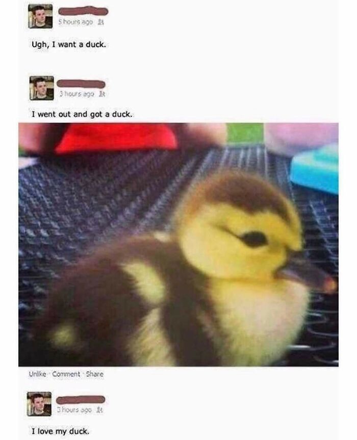 Blessed_duck