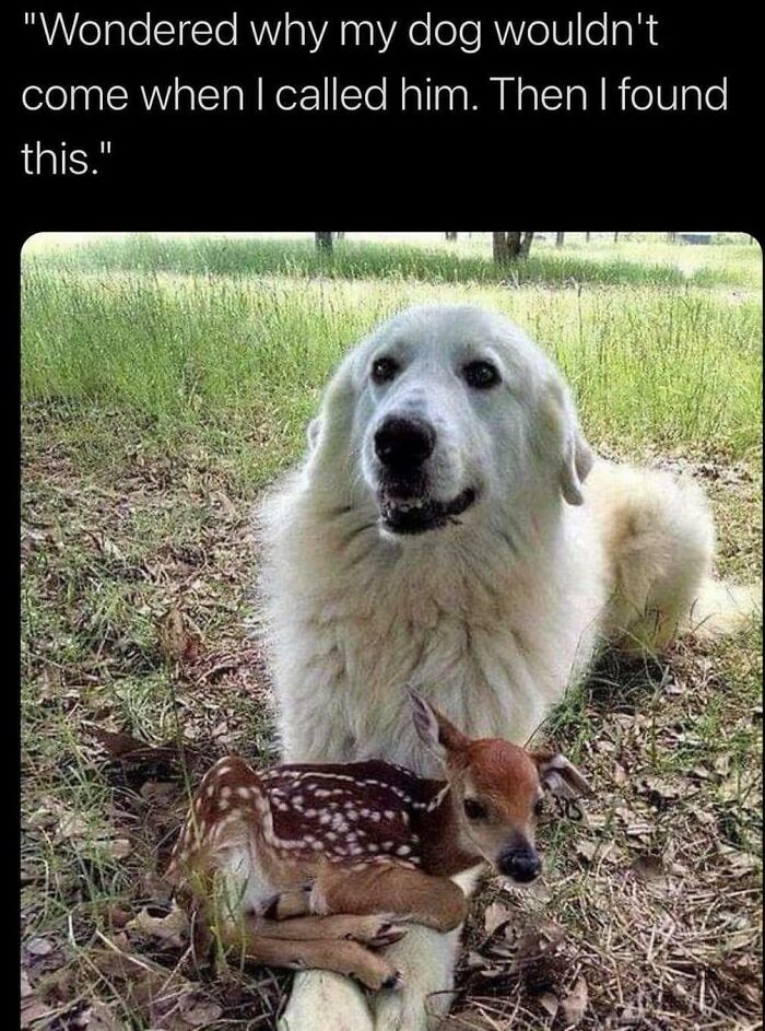 Blessed Meeting