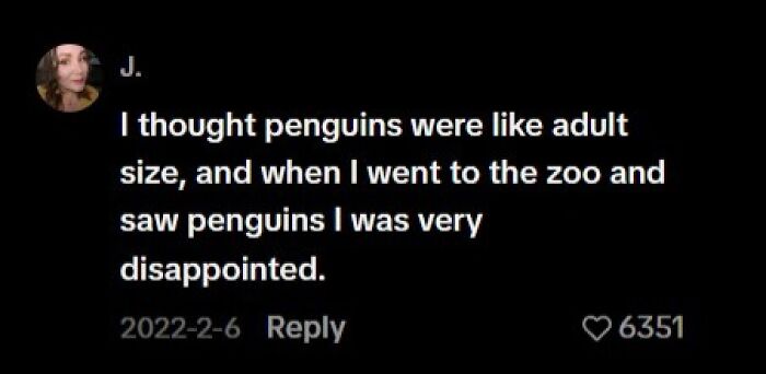 Humorous late realization about penguin size at the zoo