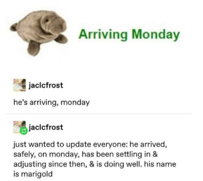 Blessed_manatee