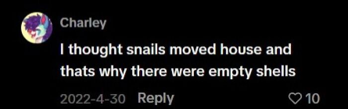 Funny late realization about snails and empty shells