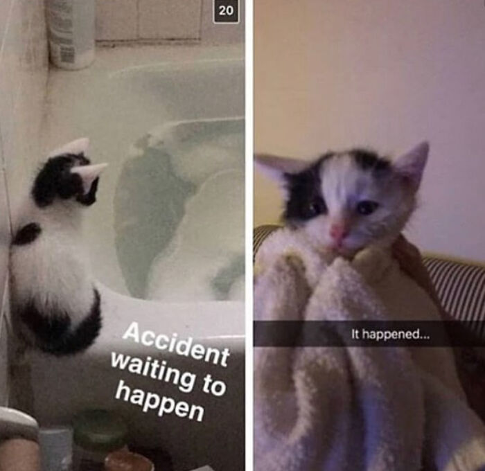 A blessed image of a kitten before and after a bath. Left: kitten by a full tub. Right: wet kitten wrapped in a towel.