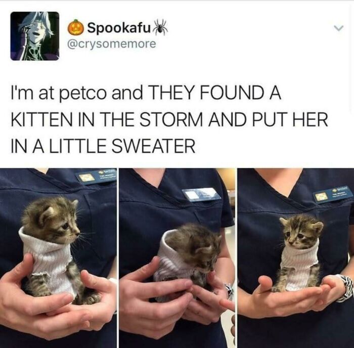 Blessed Kitty