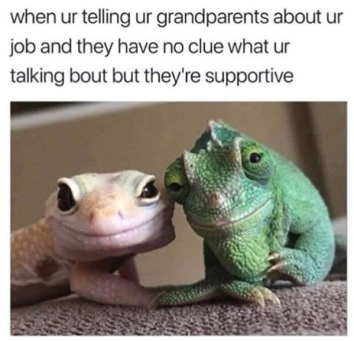A gecko and chameleon, looking intently with smiles, representing supportive yet confused grandparents. Blessed Images for positivity.