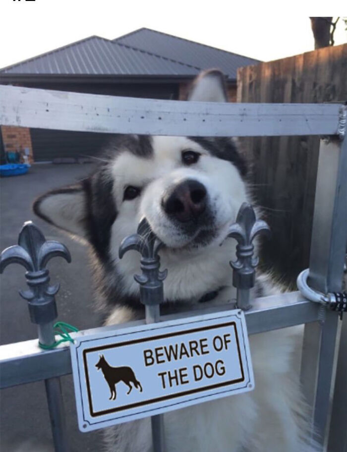 Blessed_danger