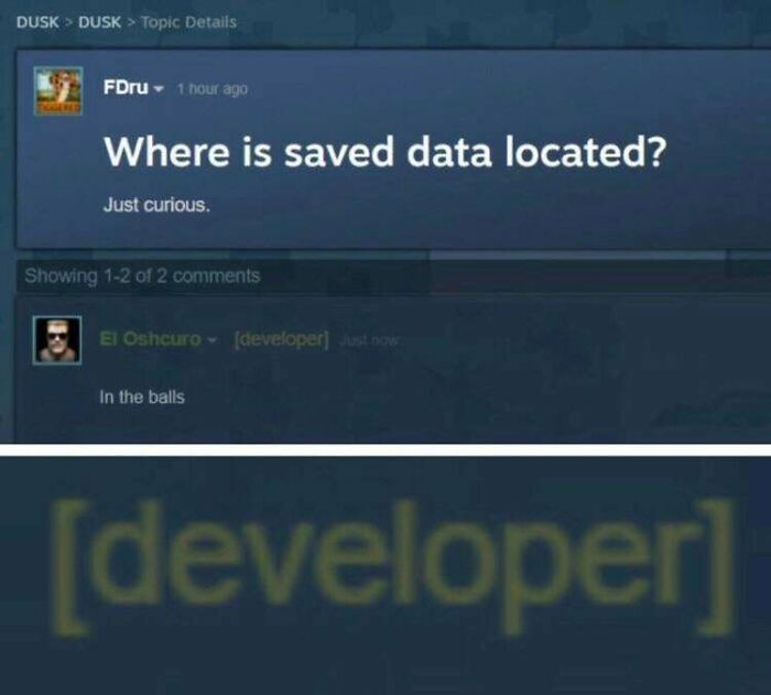 A humorous online forum exchange about saved data, offering a moment of positivity. A developer's cheeky answer.