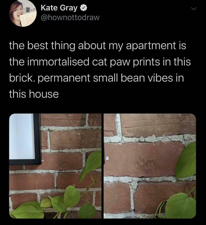 A blessed image: a Twitter post showing two photos of a brick wall with an embedded cat paw print, bringing positivity.