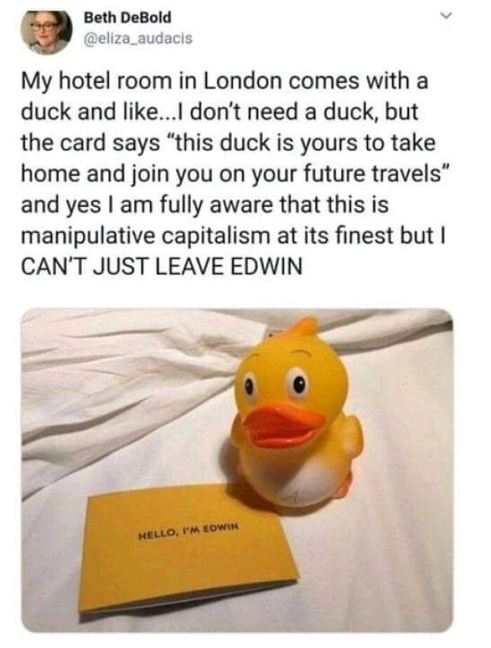 A Blessed Image of a rubber duck with a card, a soul-healing post full of positivity to make your day better.