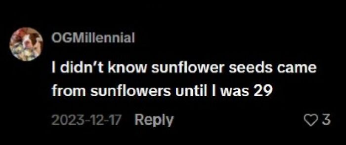 Late realization about sunflower seeds coming from sunflowers