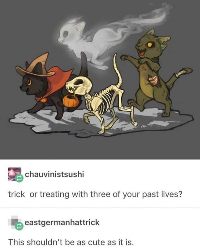 Three cats in Halloween costumes: a witch, a skeleton, and a zombie, with a ghost cat floating above. Soul-healing positivity.