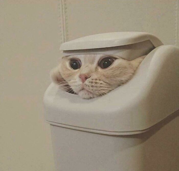 Blessed Hide And Seek
