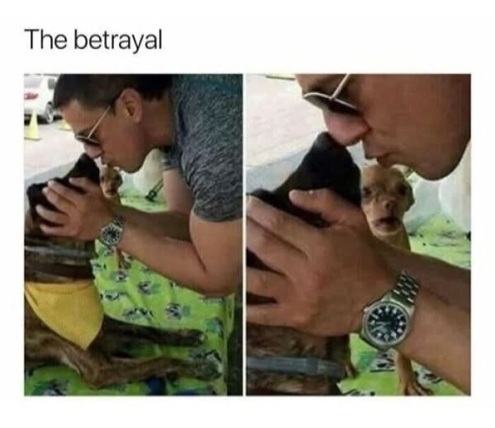 Dog reacting to betrayal meme with man kissing another dog