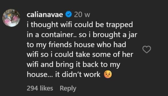 Belief that wifi could be trapped in a jar and taken home
