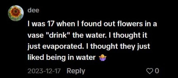 Realization that flowers in vases drink water, not just evaporate