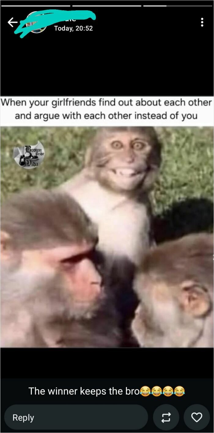 Meme with monkeys and caption about girlfriends arguing, related to cheating stories humor