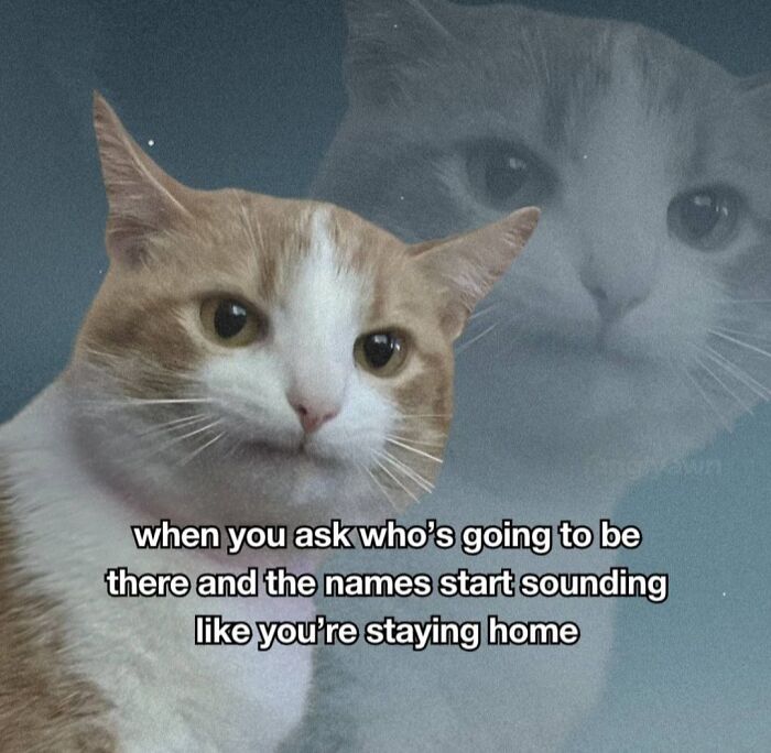 A cat meme featuring an orange and white cat looking unimpressed, with a ghostly cat image in the background. It reads: when you ask who's going to be there and the names start sounding like you're staying home. This is one of many cat memes.