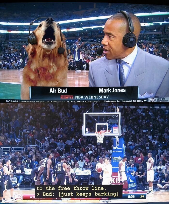 A golden retriever and a man with headphones commentating an NBA game. A soul-healing image of positivity.