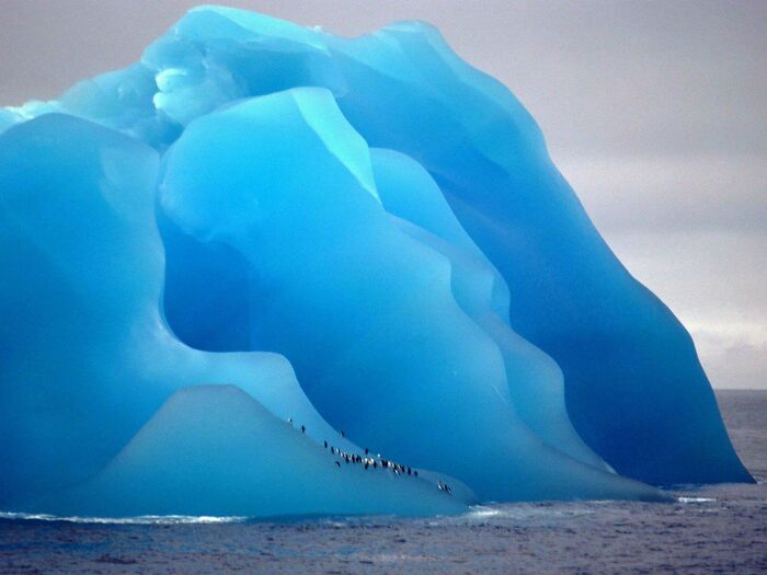 An interesting and uplifting post featuring a vibrant blue iceberg with penguins on its base.