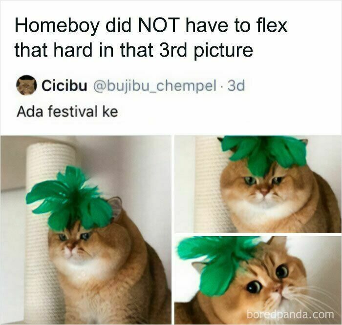 Blessed Flex
