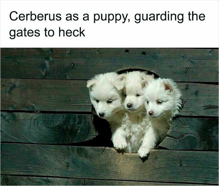 Blessed_cerberus